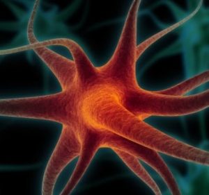 Bio- Medi Conference & Forums 